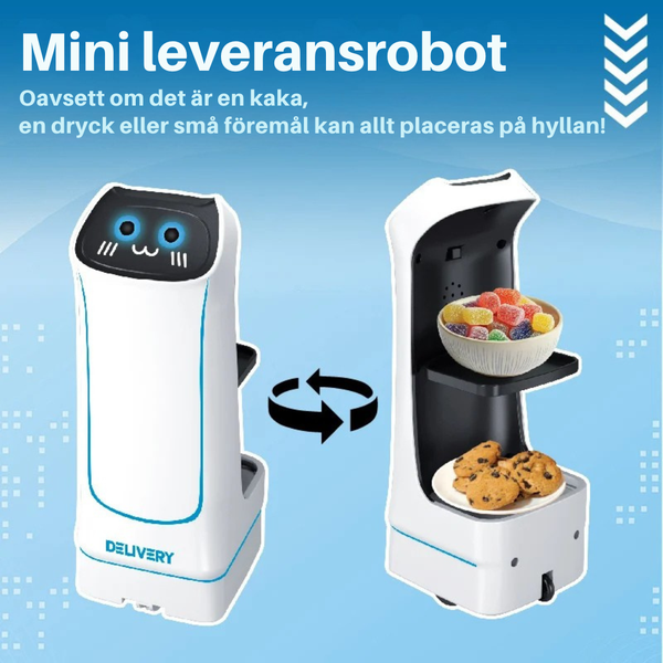 Mini leveransrobot RC